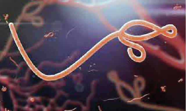 Ebola